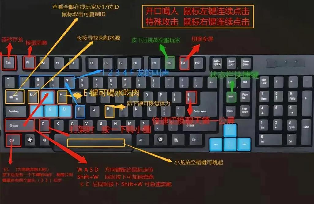 CSOL单机控制台操作指南